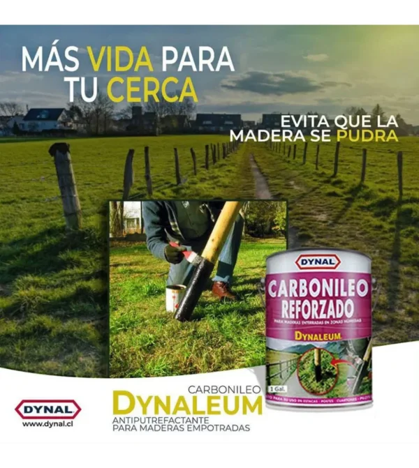 dynaleum l carbonileo 1/4gl -dynal - Imagen 2