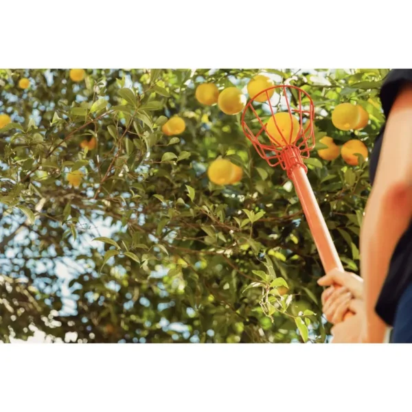 recogedor frutas,mango madera 150cm tramontina - Imagen 3